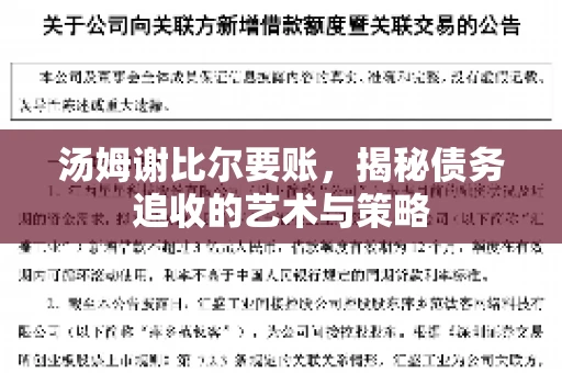 汤姆谢比尔要账，揭秘债务追收的艺术与策略