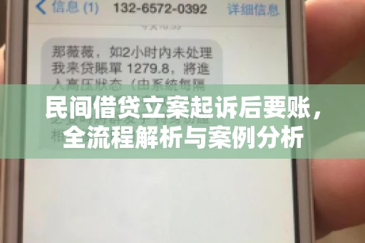民间借贷立案起诉后要账，全流程解析与案例分析
