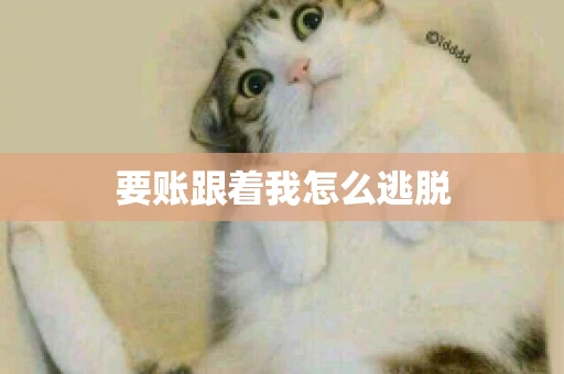 要账跟着我怎么逃脱