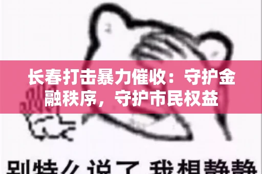 长春打击暴力催收：守护金融秩序，守护市民权益