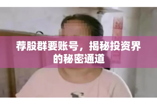 荐股群要账号，揭秘投资界的秘密通道
