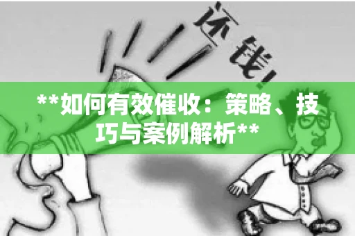 **如何有效催收：策略、技巧与案例解析**
