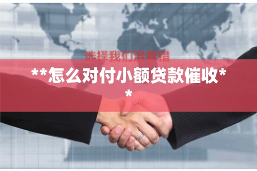 **怎么对付小额贷款催收**