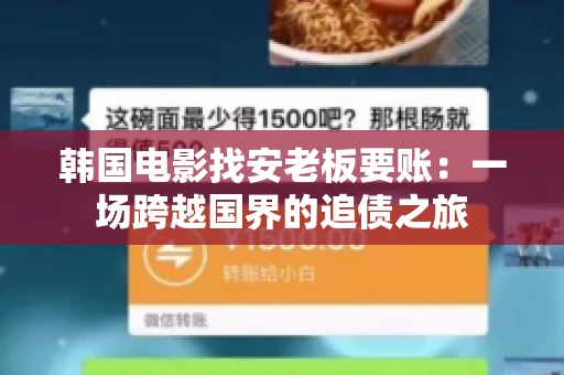 韩国电影找安老板要账：一场跨越国界的追债之旅