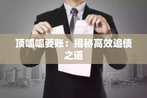 顶呱呱要账：揭秘高效追债之道