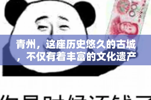 青州，这座历史悠久的古城，不仅有着丰富的文化遗产，也是商业活动频繁的地方。对于许多企业来说，应收账款的管理是日常运营中不可或缺的一环。那么，青州那里有要账的公司呢？今天，我们就来聊聊这个话题。