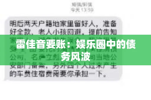 雷佳音要账：娱乐圈中的债务风波