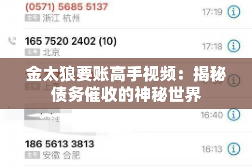 金太狼要账高手视频：揭秘债务催收的神秘世界