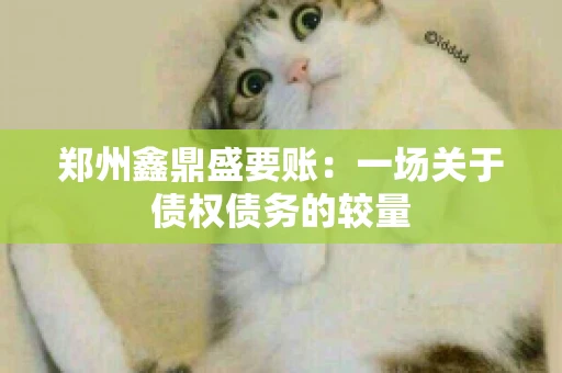 郑州鑫鼎盛要账：一场关于债权债务的较量